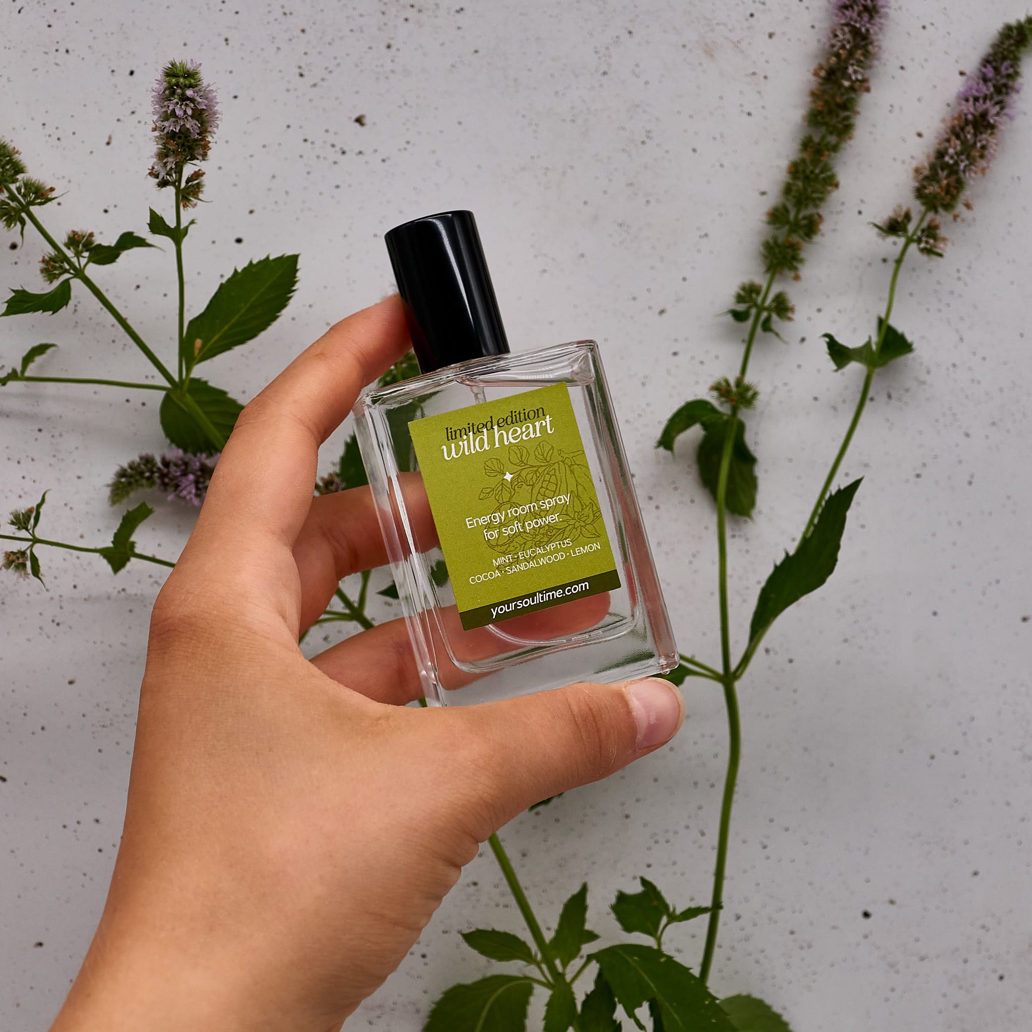 Dodatki